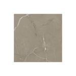 Muster SPC-Wandverkleidung Marmor Braun